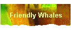 Friendly Whales